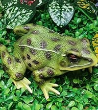 Sunthus Frog Garden Statues Toad Outdoor Decor Sculptures Yard Resin Decorations