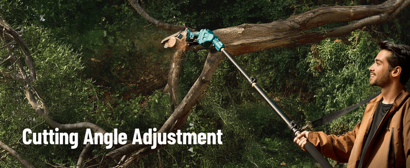 Seesii PS620 2-in-1 Electric Pole Saws: 6 Inch Mini Chainsaw Cordless with Extension Pole, 2Pcs Batteries, Brushless Chain Saw for Limb Branch Cutter, Battery Tree Trimmers Pruner,16Ft Long Reach