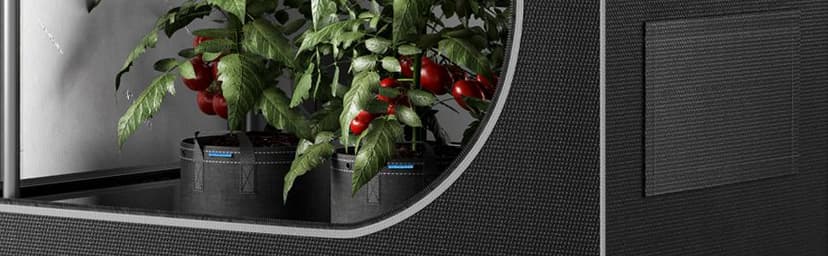 AC Infinity Heavy Duty Fabric Pots, 5 Gallon Aeration Reusable Grow Bags 5-Pack with 500G Thick Nonwoven Fabric and Multi-Purpose Rings, for Low Stress Plant Training Fruits, Vegetables, and Flowers