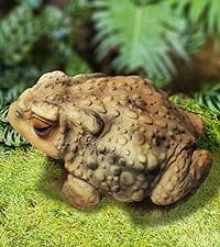Sunthus Frog Garden Statues Toad Outdoor Decor Sculptures Yard Resin Decorations