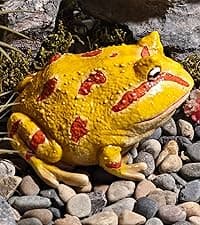 Sunthus Frog Garden Statues Toad Outdoor Decor Sculptures Yard Resin Decorations