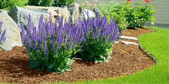 Colwelt Saw-Tooth Edger Lawn Tool, Half Moon Lawn Edger with T-Grip, Sidewalk Grass Long Handled Step Edger, 38-Inch