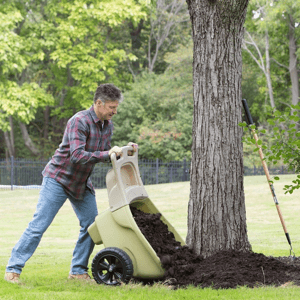 Simplay3 Easy Haul Wheelbarrow with Garden Tool Storage Tray, Durable Heavy-Duty Plastic Wheelbarrow with Large Easy Turn Wheels - Green, Made in USA…