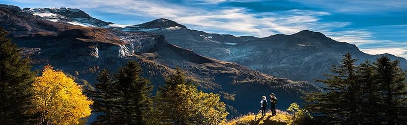 Hammock Straps and 2 Carabiners, 30+2 Loops, 1200lbs Breaking Strength (500lbs Rated) | 100% Non-Stretch, Lightweight, Portable Camping - Quick, Easy Setup | Heavy Duty + Tree Friendly