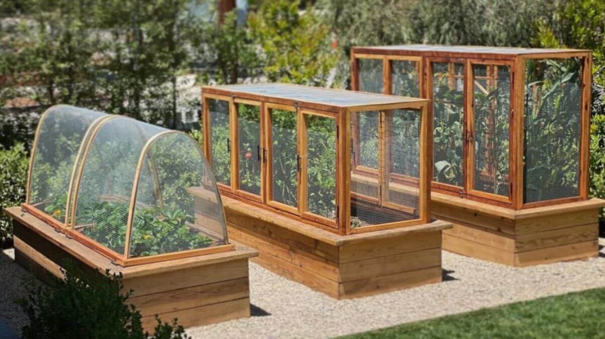 How to Build Raised Garden Beds