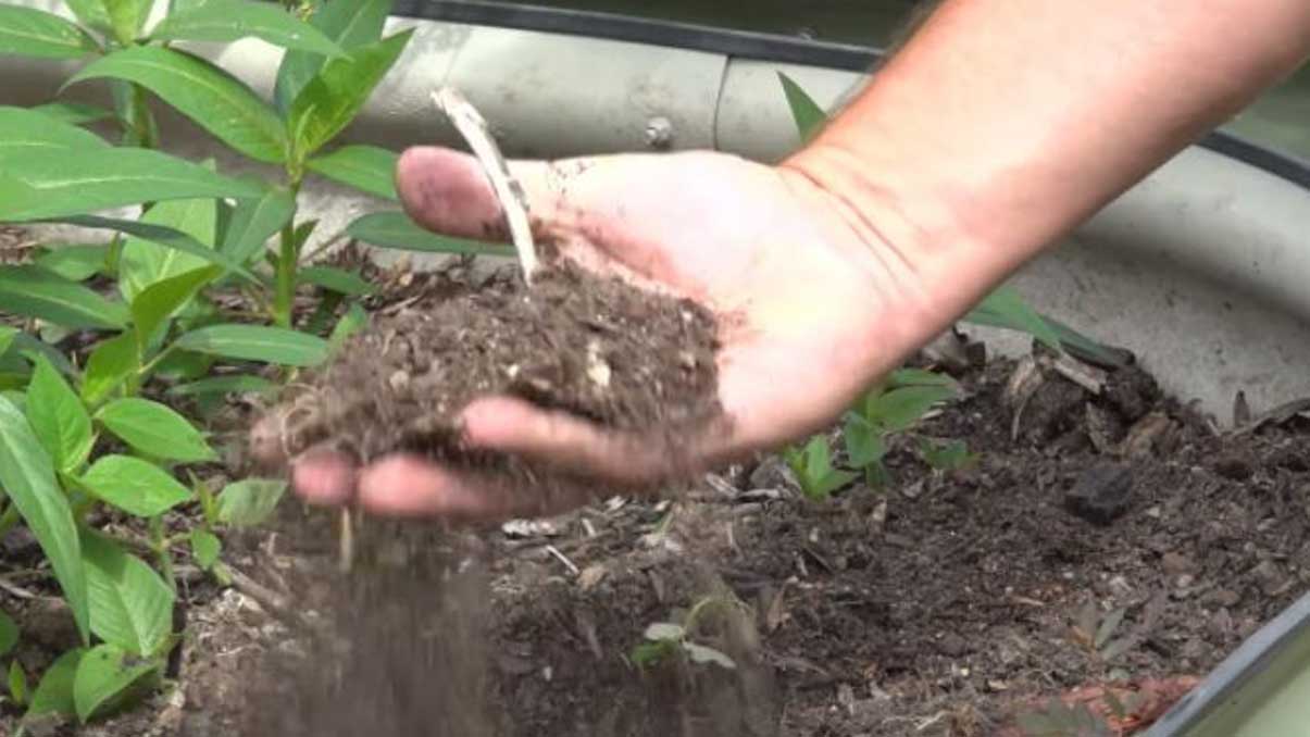 How to Test Soil pH